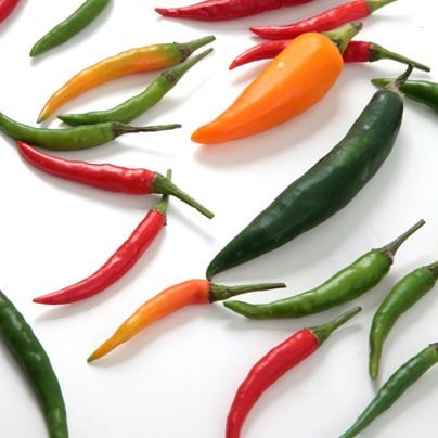 el picante en Ybarra