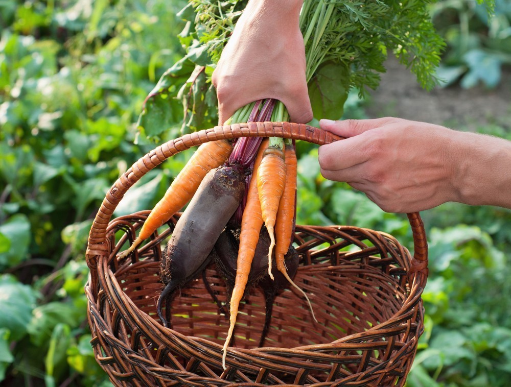 verduras