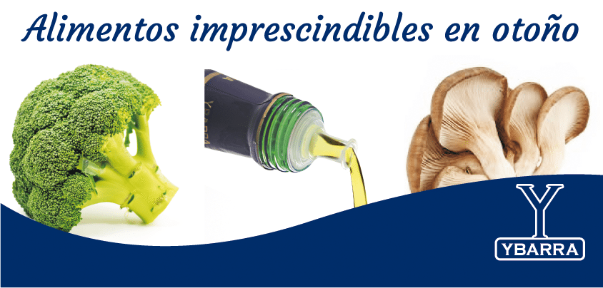 alimentos-otono-png