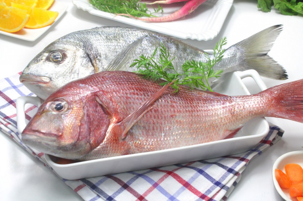 pescados-2
