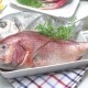 Pescado fresco en Ybarra