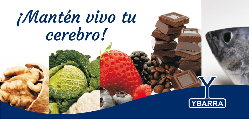 alimento para el cerebro