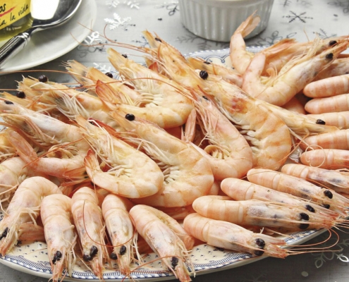 recetas ybarra de como cocer marisco con mayonesa