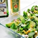 recetas-ybarra-ensalada-rucula-mango-aguacate-aceite-oliva-virgen-extra-vinagre-manzana