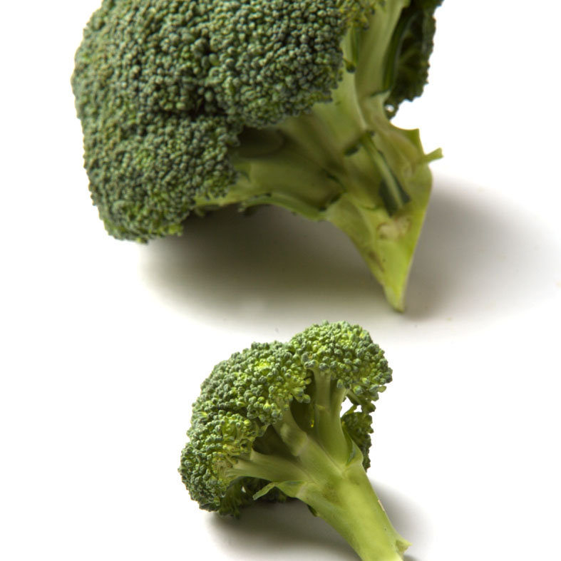 Brócoli, brécol