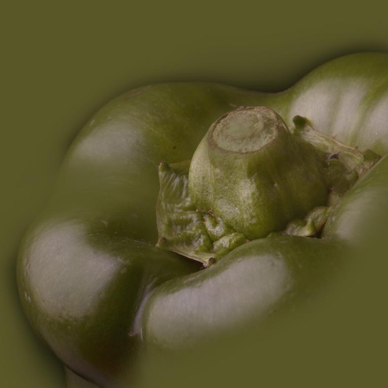 PIMIENTO VERDE