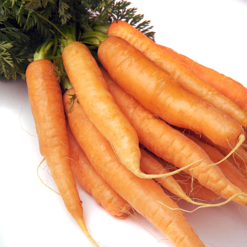 ZANAHORIAS