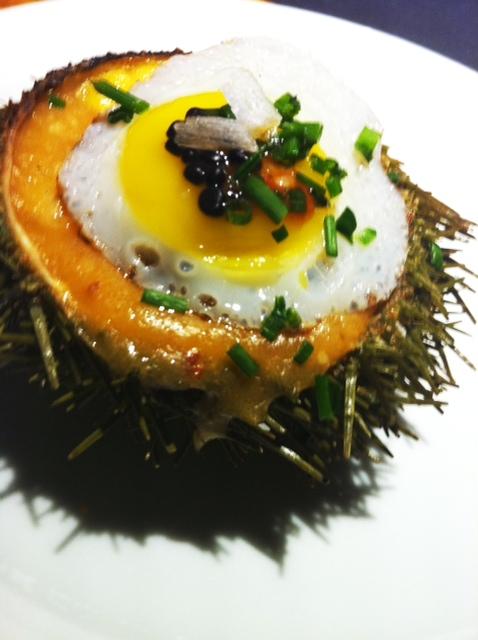 Tapa Erizo