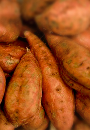 Batata